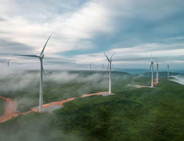 a group of wind turbines in a field