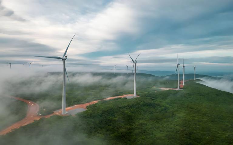 a group of wind turbines in a field